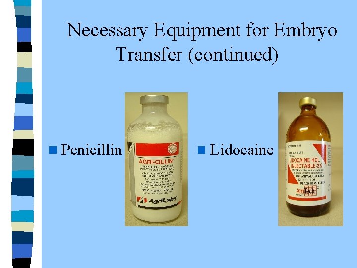  Necessary Equipment for Embryo Transfer (continued) n Penicillin n Lidocaine 