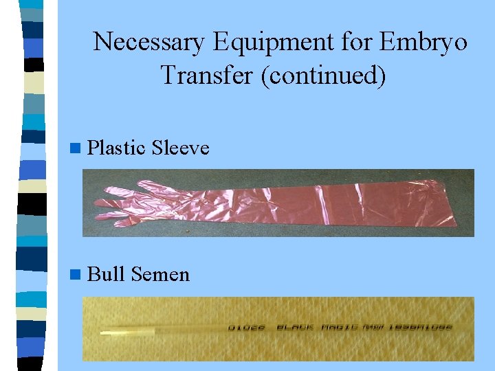  Necessary Equipment for Embryo Transfer (continued) n Plastic Sleeve n Bull Semen 