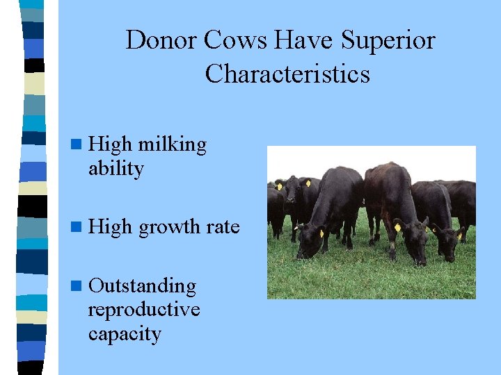  Donor Cows Have Superior Characteristics n High milking ability n High growth rate