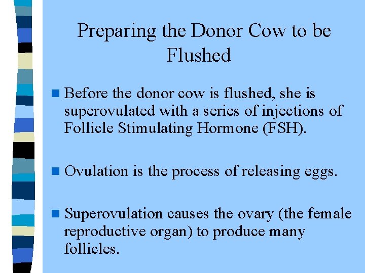  Preparing the Donor Cow to be Flushed n Before the donor cow is