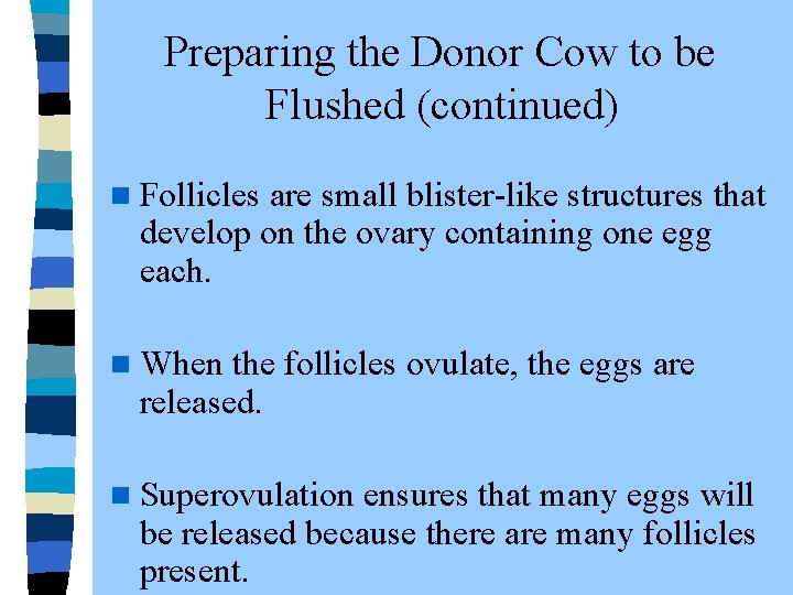  Preparing the Donor Cow to be Flushed (continued) n Follicles are small blister-like