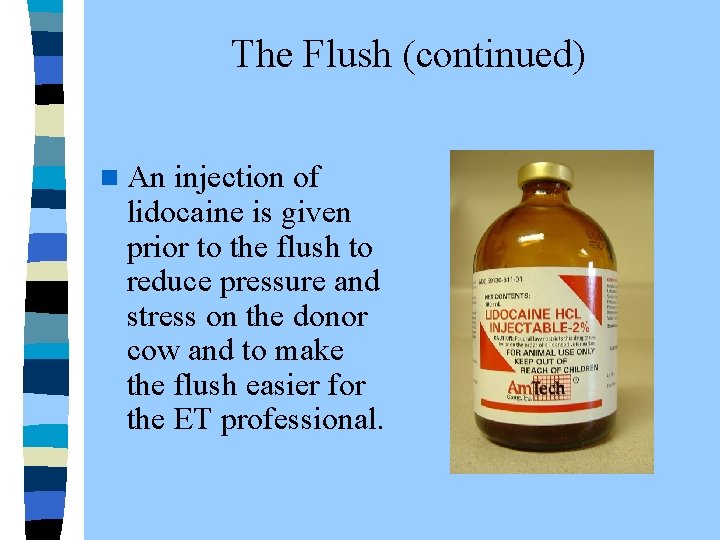  The Flush (continued) n An injection of lidocaine is given prior to the