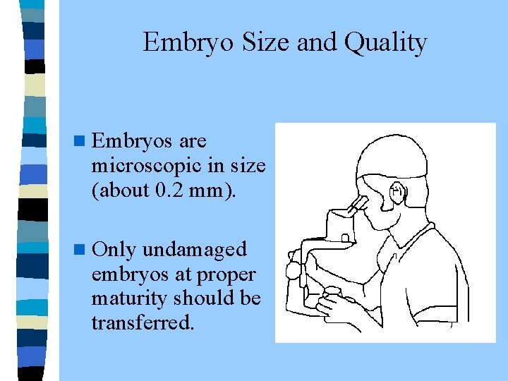  Embryo Size and Quality n Embryos are microscopic in size (about 0. 2