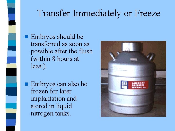  Transfer Immediately or Freeze n Embryos should be transferred as soon as possible