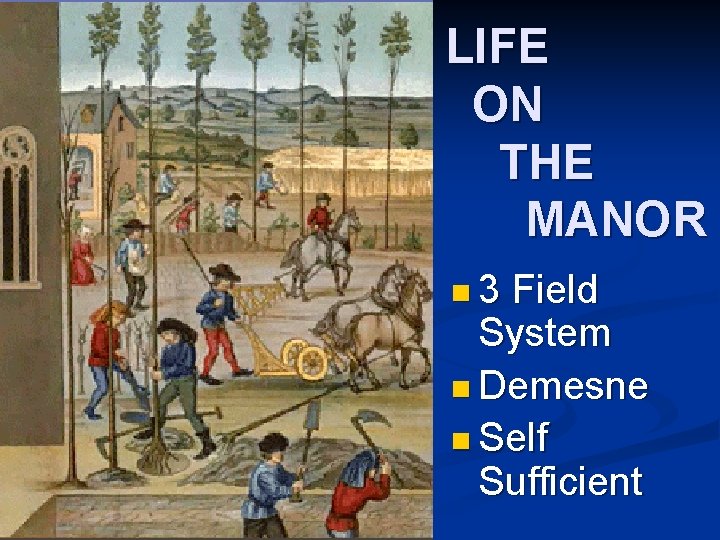 LIFE ON THE MANOR n 3 Field System n Demesne n Self Sufficient 