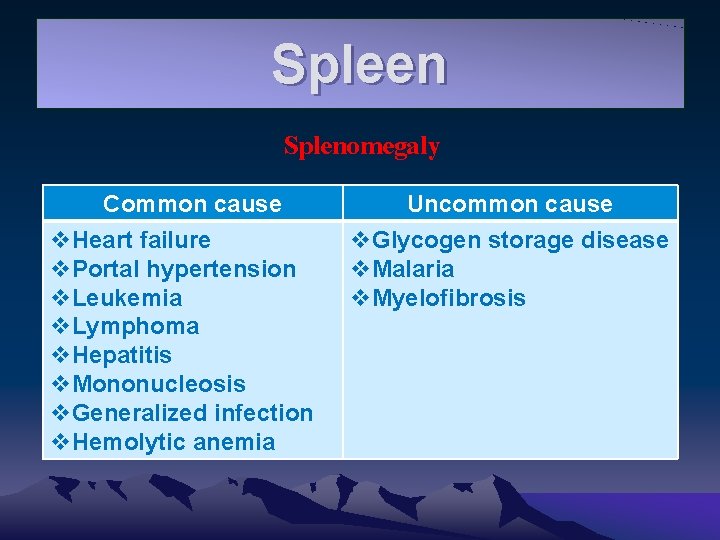 Spleen Splenomegaly Common cause v. Heart failure v. Portal hypertension v. Leukemia v. Lymphoma