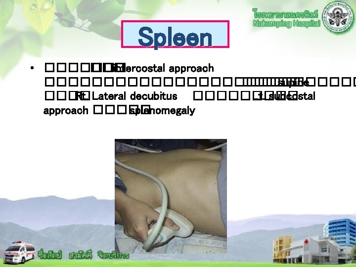 Spleen • ������� intercostal approach �������������� supine ���� Rt. Lateral decubitus ����� Lt. subcostal