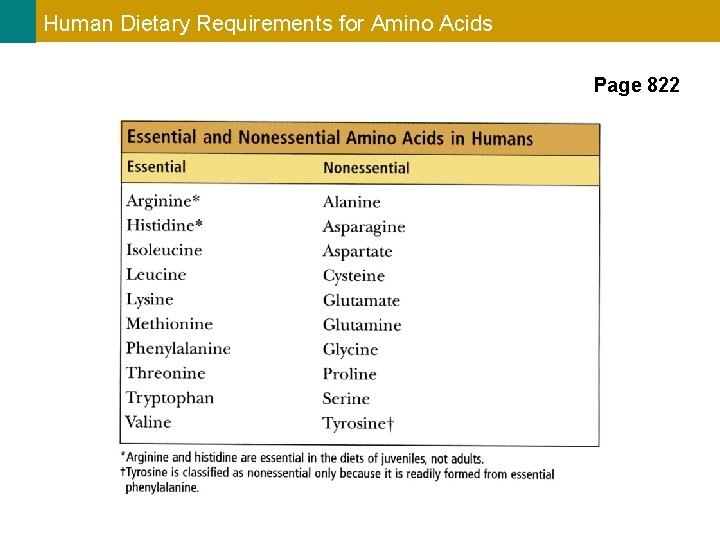 Human Dietary Requirements for Amino Acids Page 822 
