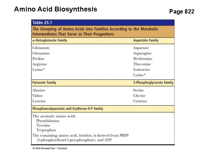 Amino Acid Biosynthesis Page 822 