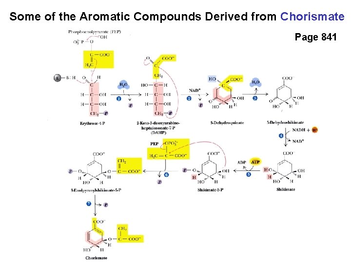 Some of the Aromatic Compounds Derived from Chorismate Page 841 