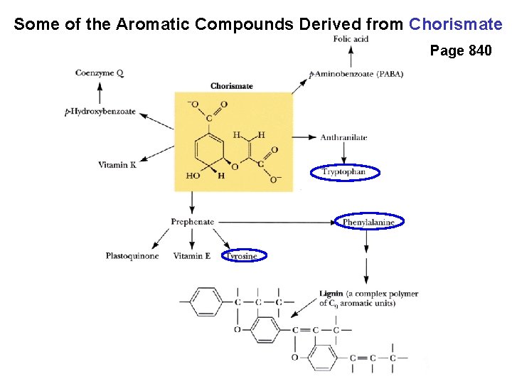 Some of the Aromatic Compounds Derived from Chorismate Page 840 