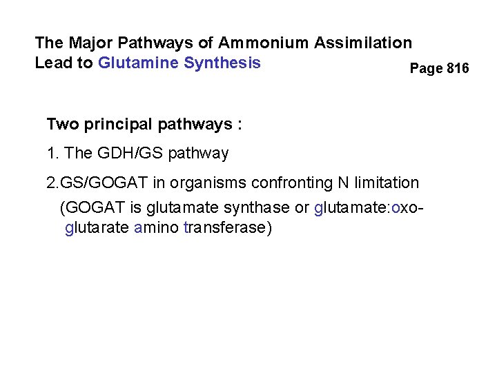 The Major Pathways of Ammonium Assimilation Lead to Glutamine Synthesis Page 816 Two principal