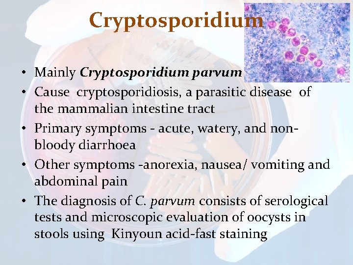 Cryptosporidium • Mainly Cryptosporidium parvum • Cause cryptosporidiosis, a parasitic disease of the mammalian