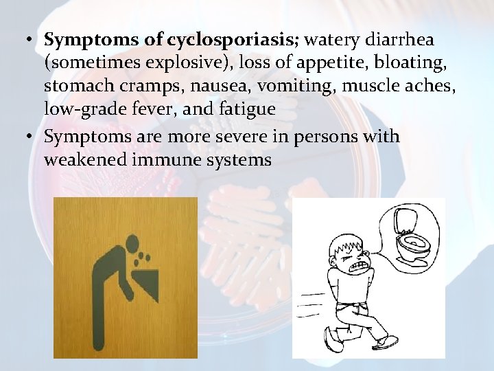  • Symptoms of cyclosporiasis; watery diarrhea (sometimes explosive), loss of appetite, bloating, stomach