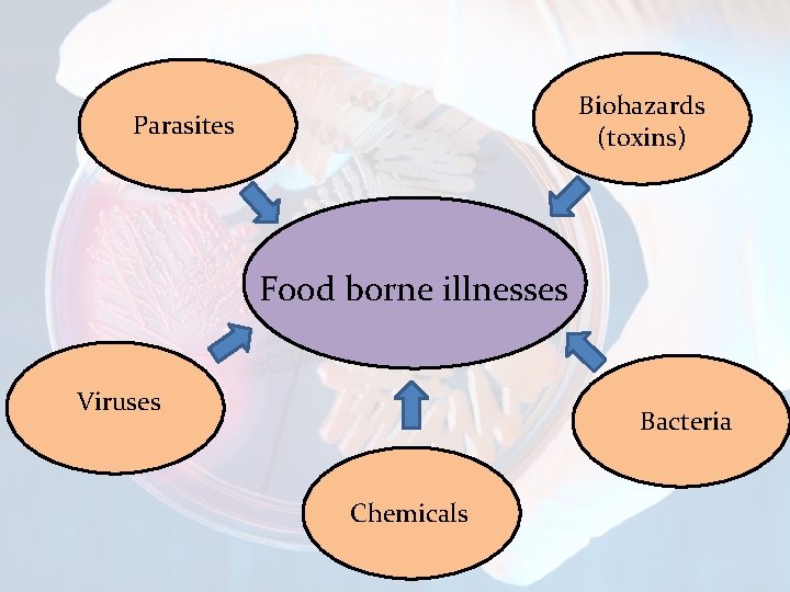  Biohazards (toxins) Parasites Food borne illnesses Viruses Bacteria Chemicals 