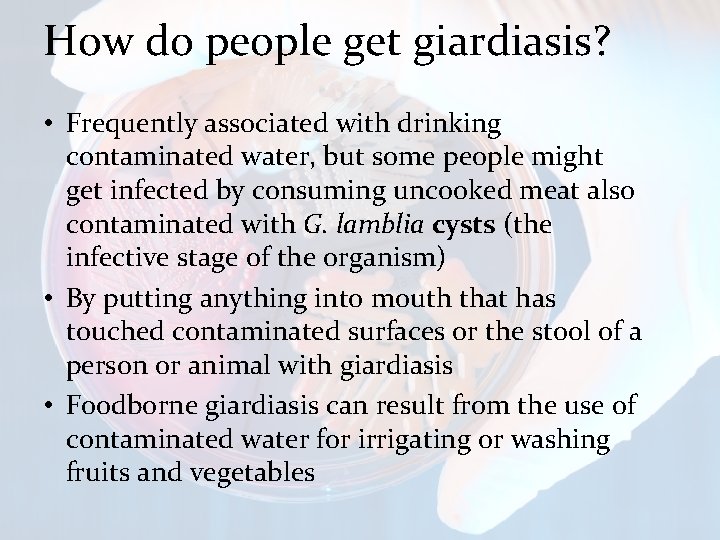 How do people get giardiasis? • Frequently associated with drinking contaminated water, but some