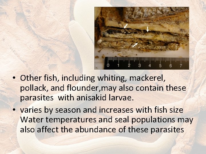  • Other fish, including whiting, mackerel, pollack, and flounder, may also contain these