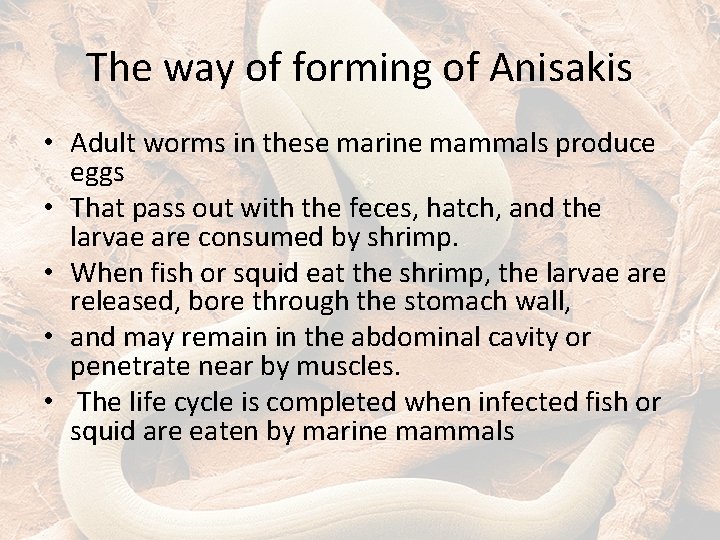 The way of forming of Anisakis • Adult worms in these marine mammals produce