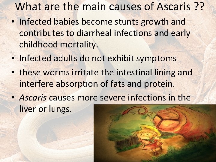 What are the main causes of Ascaris ? ? • Infected babies become stunts