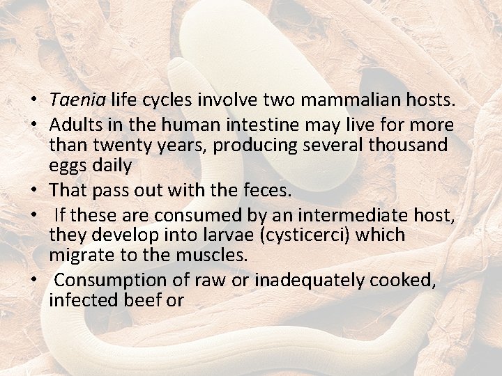  • Taenia life cycles involve two mammalian hosts. • Adults in the human