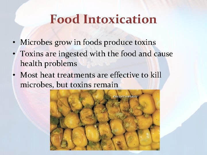 Food Intoxication • Microbes grow in foods produce toxins • Toxins are ingested with