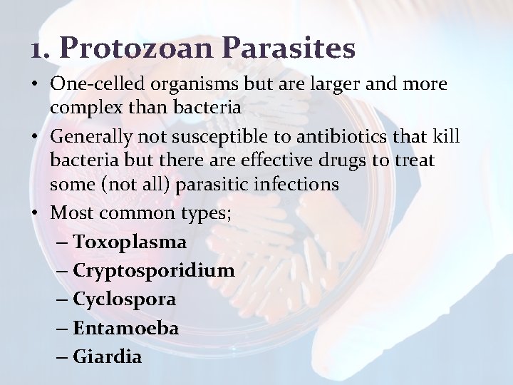 1. Protozoan Parasites • One-celled organisms but are larger and more complex than bacteria