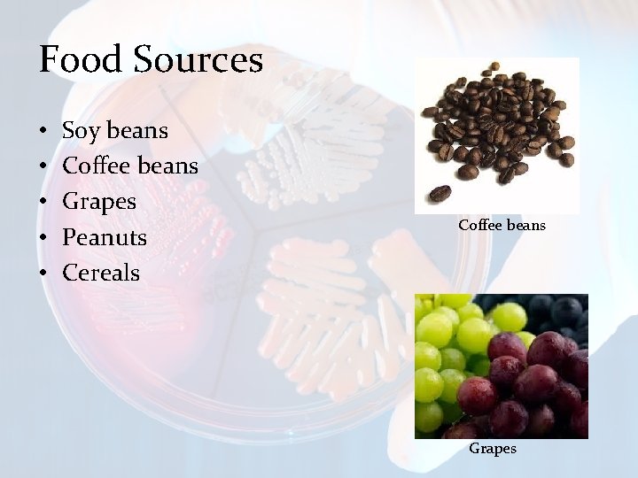 Food Sources • • • Soy beans Coffee beans Grapes Peanuts Cereals Coffee beans