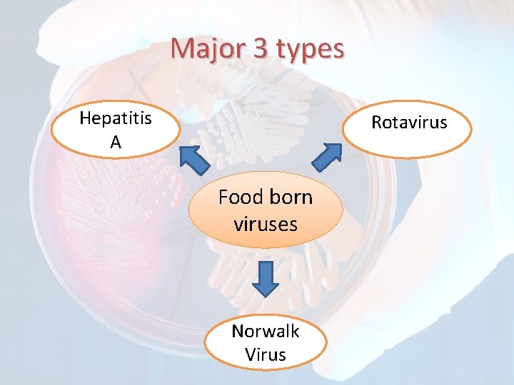 Major 3 types Hepatitis A Rotavirus Food born viruses Norwalk Virus 