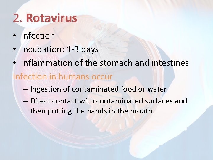 2. Rotavirus • Infection • Incubation: 1 -3 days • Inflammation of the stomach