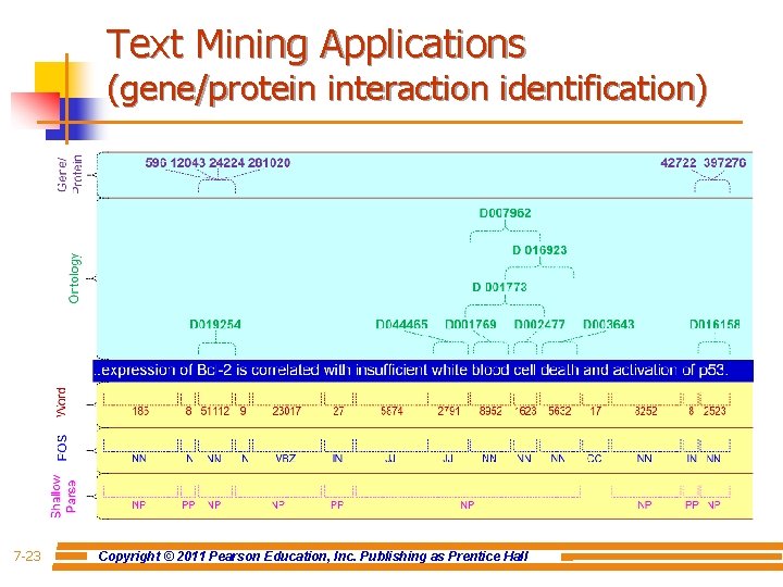 Text Mining Applications (gene/protein interaction identification) 7 -23 Copyright © 2011 Pearson Education, Inc.