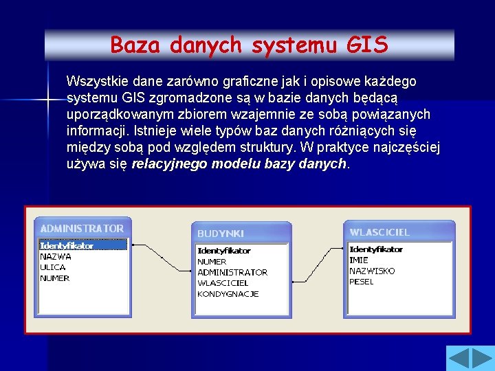Baza danych systemu GIS Wszystkie dane zarówno graficzne jak i opisowe każdego systemu GIS