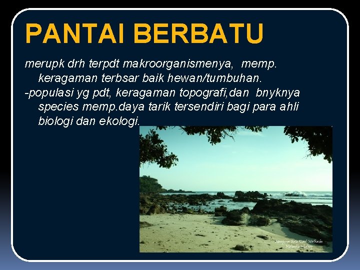 PANTAI BERBATU merupk drh terpdt makroorganismenya, memp. keragaman terbsar baik hewan/tumbuhan. -populasi yg pdt,