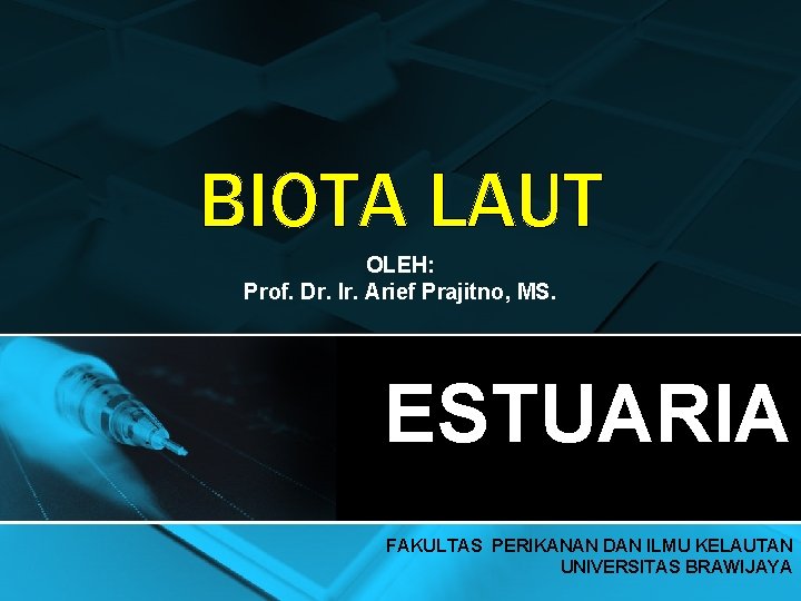 BIOTA LAUT OLEH: Prof. Dr. Ir. Arief Prajitno, MS. ESTUARIA FAKULTAS PERIKANAN DAN ILMU