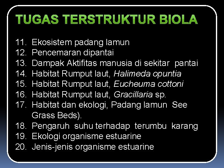 11. 12. 13. 14. 15. 16. 17. Ekosistem padang lamun Pencemaran dipantai Dampak Aktifitas