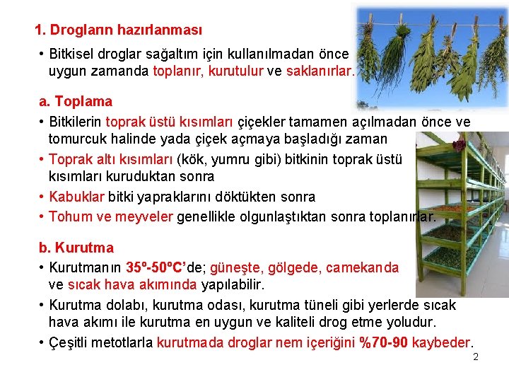 1. Drogların hazırlanması • Bitkisel droglar sağaltım için kullanılmadan önce uygun zamanda toplanır, kurutulur