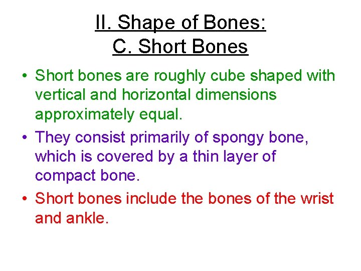 II. Shape of Bones: C. Short Bones • Short bones are roughly cube shaped