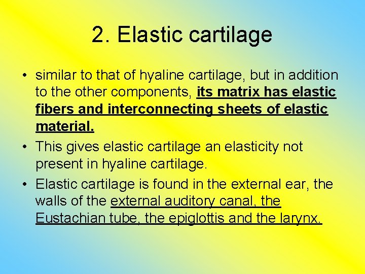2. Elastic cartilage • similar to that of hyaline cartilage, but in addition to