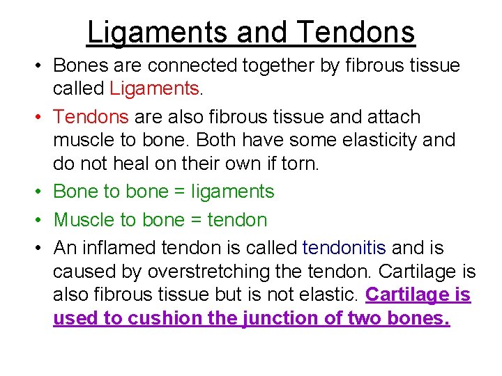 Ligaments and Tendons • Bones are connected together by fibrous tissue called Ligaments. •