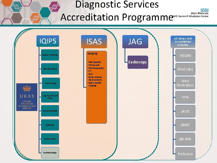 Diagnostic Services Accreditation Programme IQIPS Cardiac Physiology Vascular Science ISAS Imaging • Radiography •