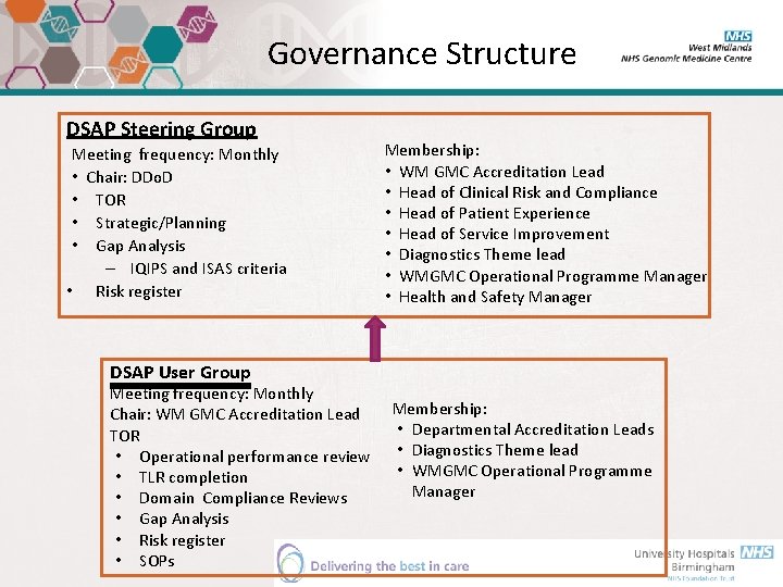 Governance Structure DSAP Steering Group Meeting frequency: Monthly • Chair: DDo. D • TOR