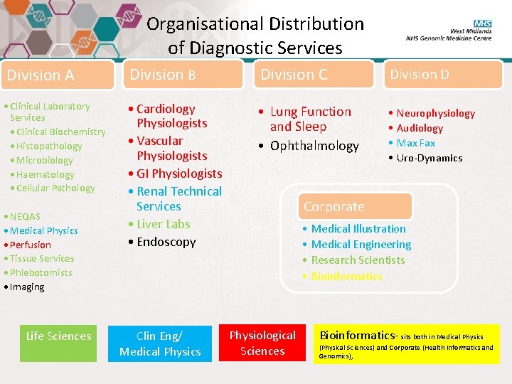 Organisational Distribution of Diagnostic Services Division A Division B Division C Division D •