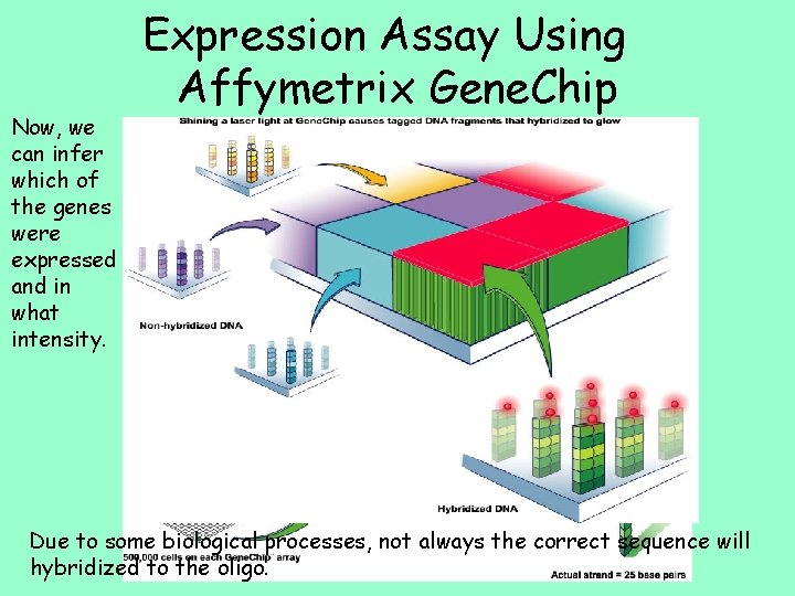 Now, we can infer which of the genes were expressed and in what intensity.