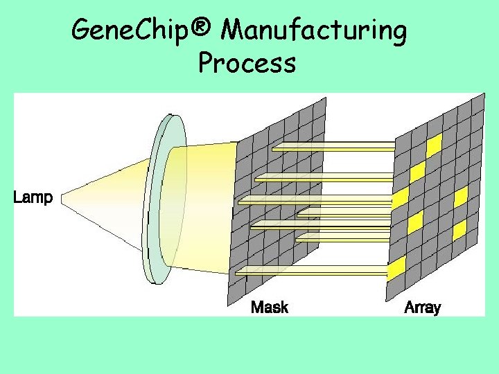 Gene. Chip® Manufacturing Process 