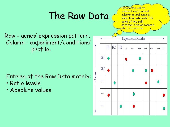 The Raw Data Row - genes’ expression pattern. Column - experiment/conditions’ profile. Entries of