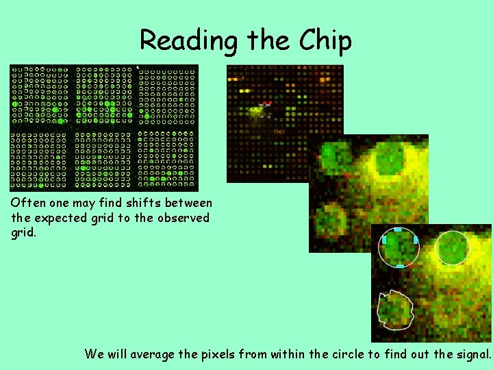 Reading the Chip Often one may find shifts between the expected grid to the