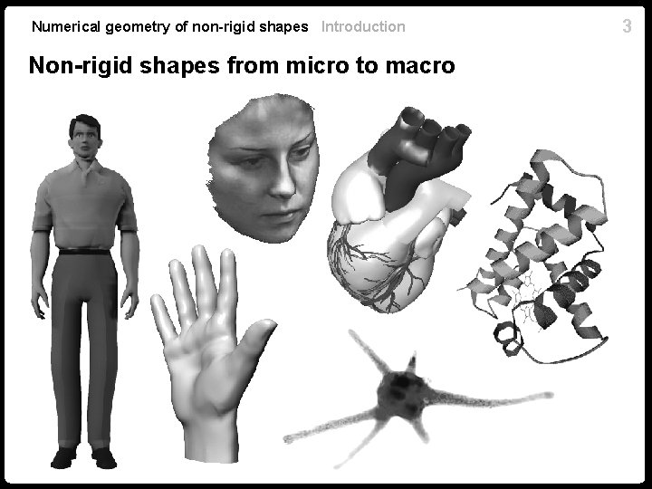 Numerical geometry of non-rigid shapes Introduction Non-rigid shapes from micro to macro 3 