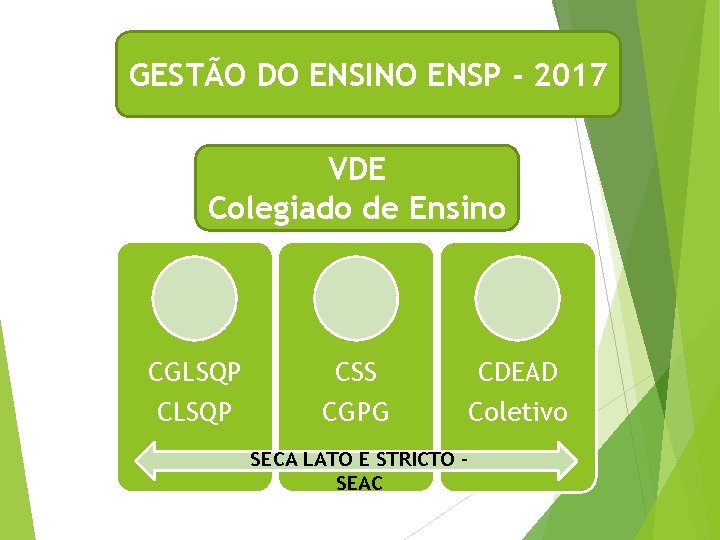 GESTÃO DO ENSINO ENSP - 2017 VDE Colegiado de Ensino CGLSQP CSS CDEAD CLSQP
