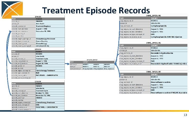 Treatment Episode Records 13 