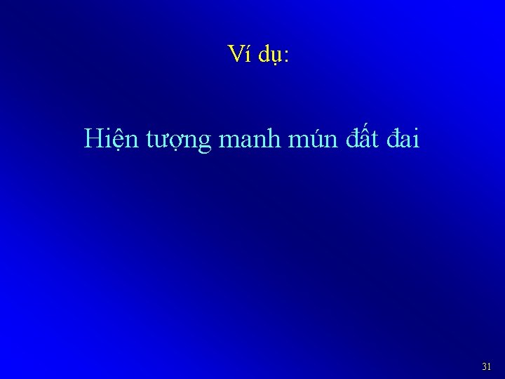 Ví dụ: Hiện tượng manh mún đất đai 31 