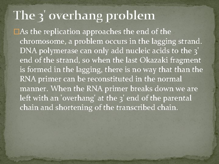 The 3' overhang problem �As the replication approaches the end of the chromosome, a